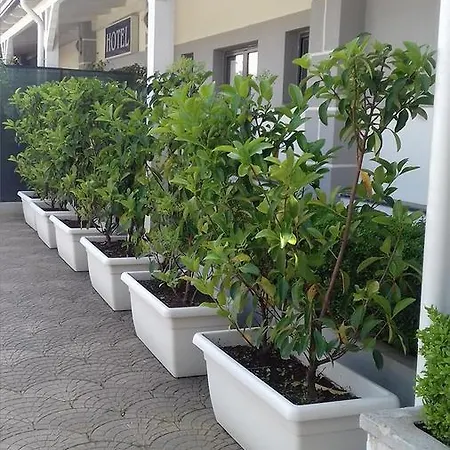 ホテル Le Pinede リコラ