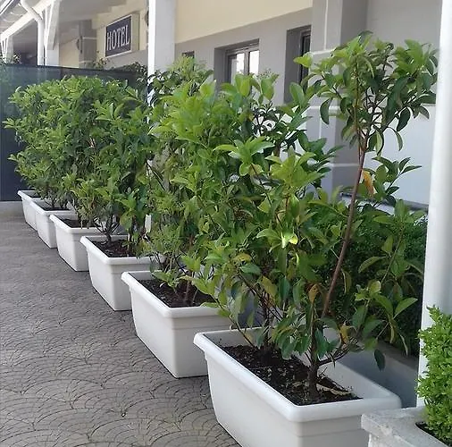 מלון Le Pinede ליקולה